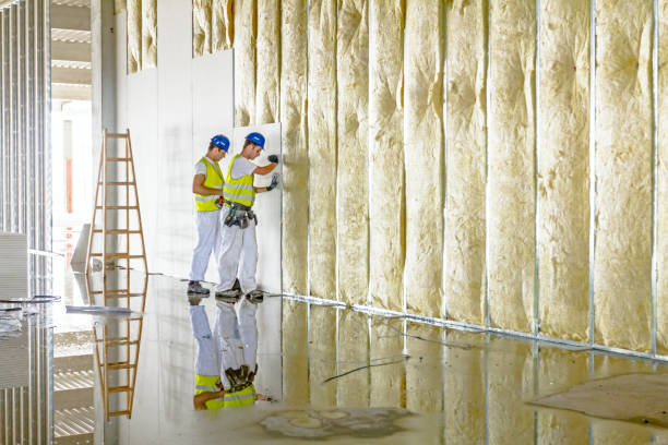 Types of Insulation We Offer in San Pablo, CA